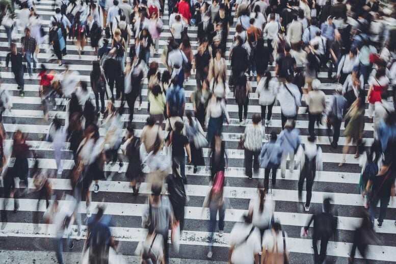 科学家发现了使人群陷入混乱的精确角度-煤油灯科技
